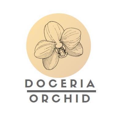 Doceria Orchid