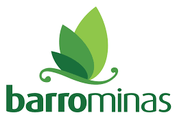 Barro Minas Cosméticos