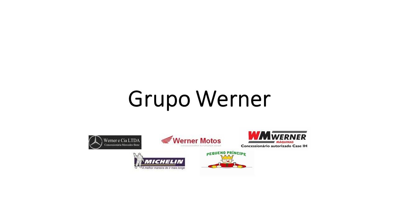 Grupo Werner