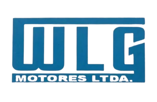 WLG Motores Ltda