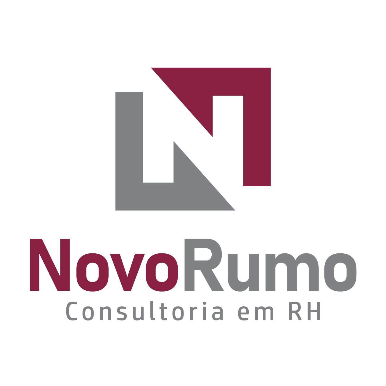 Novo Rumo Consultoria