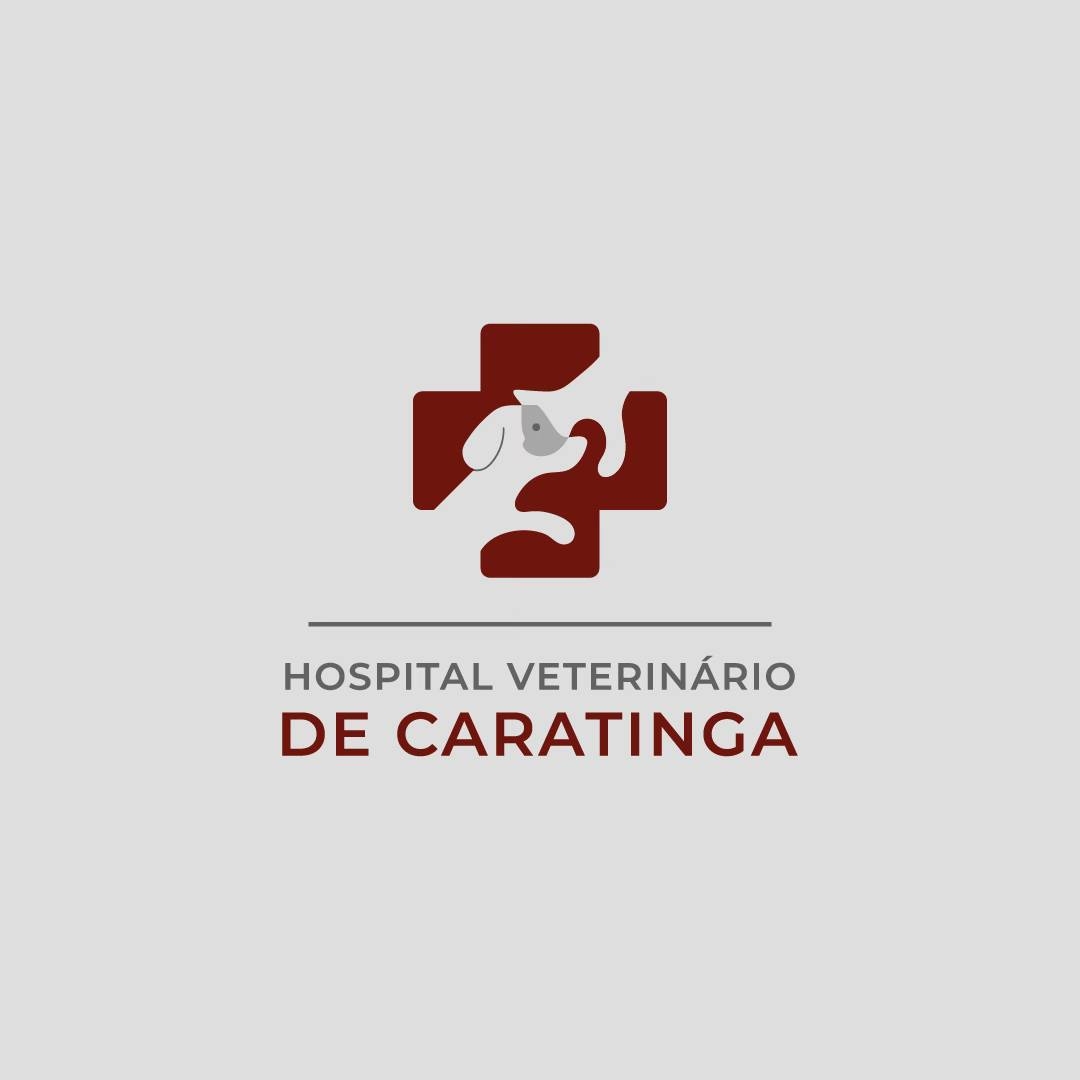 Hospital Veterinário de Caratinga