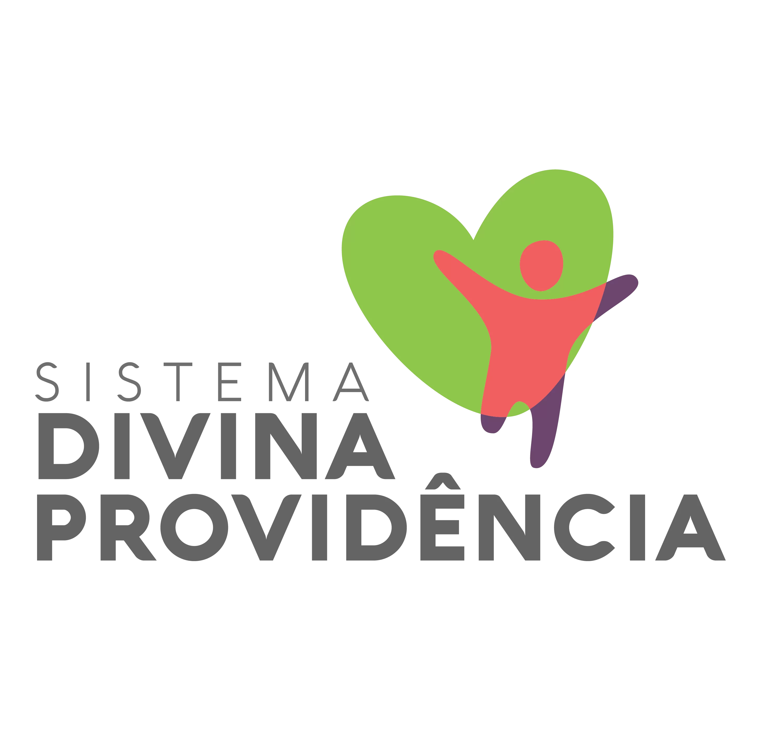 Sistema Divina Providência